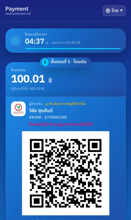 blue payment theme