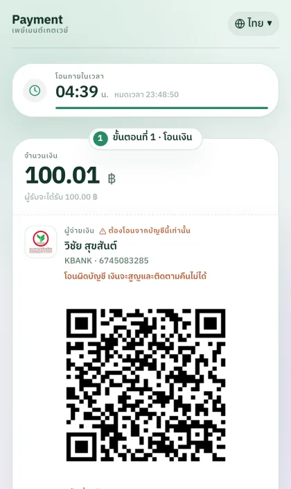mint payment theme